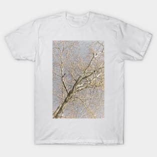 For The Love Of Trees - 4 © T-Shirt